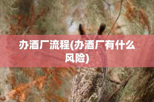 办酒厂流程(办酒厂有什么风险)
