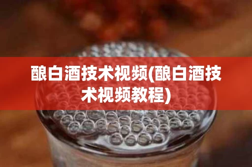 酿白酒技术视频(酿白酒技术视频教程)