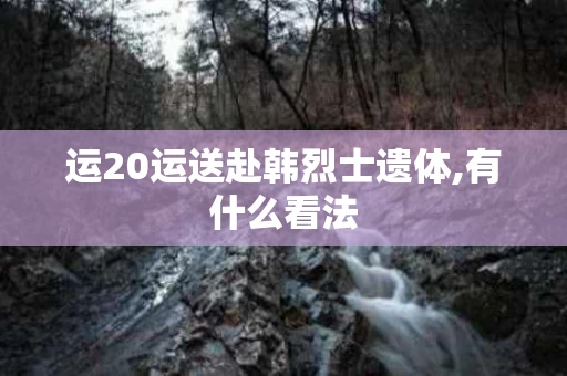 运20运送赴韩烈士遗体,有什么看法