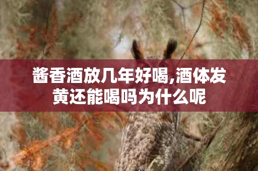 酱香酒放几年好喝,酒体发黄还能喝吗为什么呢