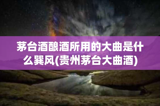 茅台酒酿酒所用的大曲是什么巽风(贵州茅台大曲酒)