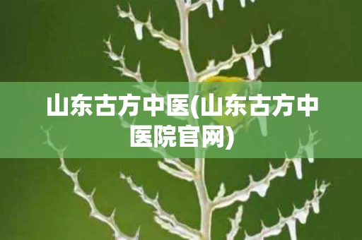 山东古方中医(山东古方中医院官网)