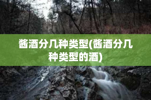 酱酒分几种类型(酱酒分几种类型的酒)