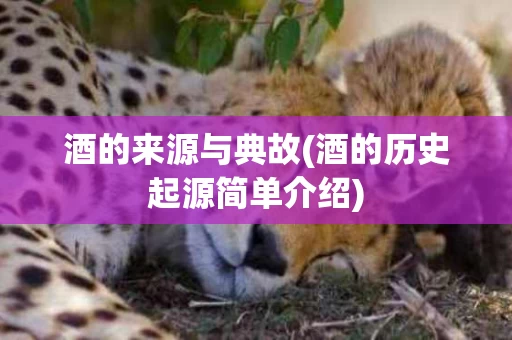 酒的来源与典故(酒的历史起源简单介绍)
