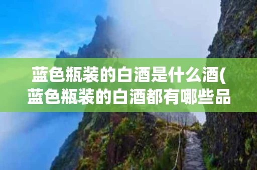 蓝色瓶装的白酒是什么酒(蓝色瓶装的白酒都有哪些品牌)