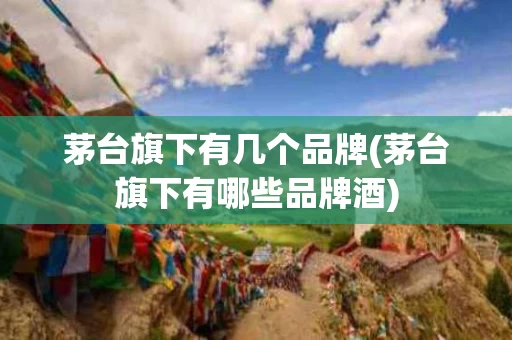 茅台旗下有几个品牌(茅台旗下有哪些品牌酒)