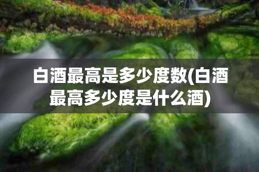 白酒最高是多少度数(白酒最高多少度是什么酒)