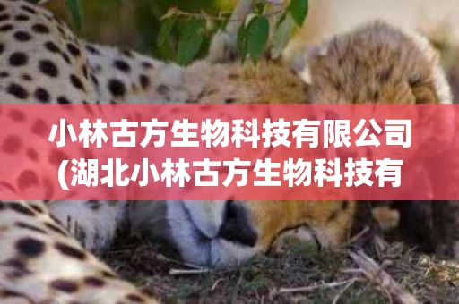 小林古方生物科技有限公司(湖北小林古方生物科技有限公司) 小林古方生物科技有限公司(湖北小林古方生物科技有限公司)
