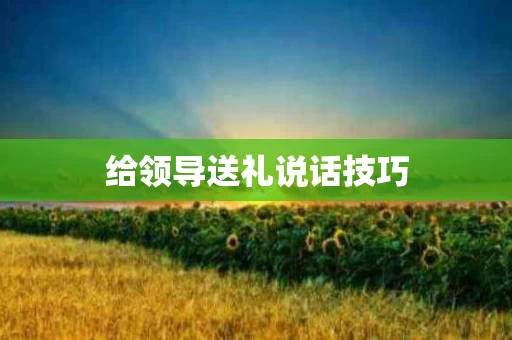 给领导送礼说话技巧