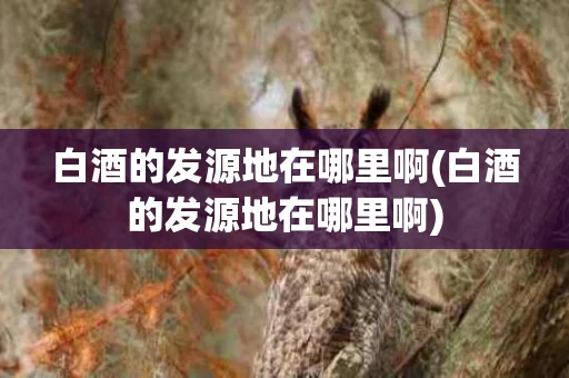 白酒的发源地在哪里啊(白酒的发源地在哪里啊)