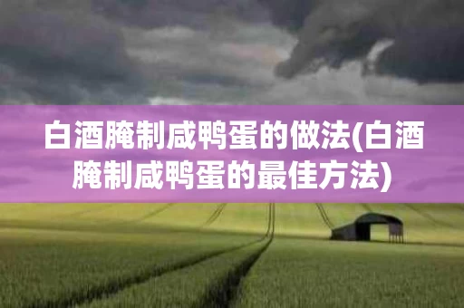 白酒腌制咸鸭蛋的做法(白酒腌制咸鸭蛋的最佳方法)