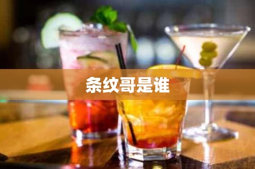 条纹哥是谁
