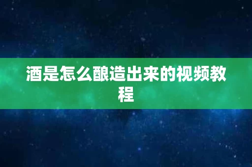 酒是怎么酿造出来的视频教程