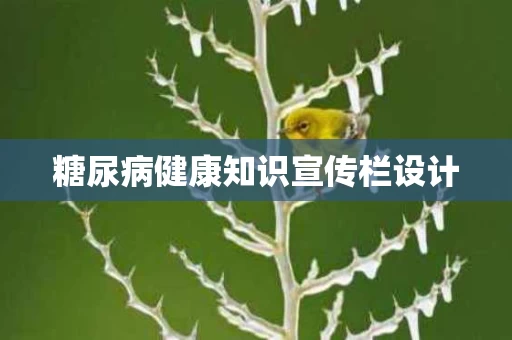 糖尿病健康知识宣传栏设计