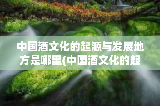 中国酒文化的起源与发展地方是哪里(中国酒文化的起源与发展地方是哪里的)