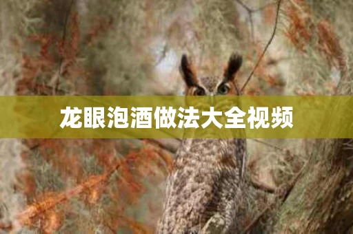龙眼泡酒做法大全视频
