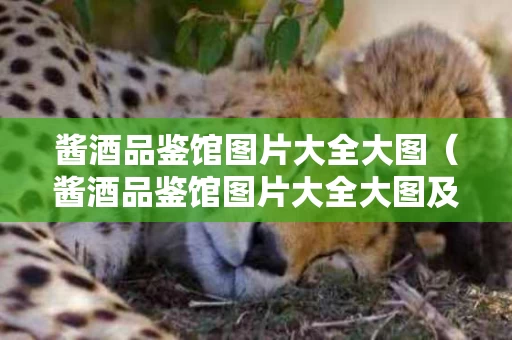 酱酒品鉴馆图片大全大图（酱酒品鉴馆图片大全大图及价格）