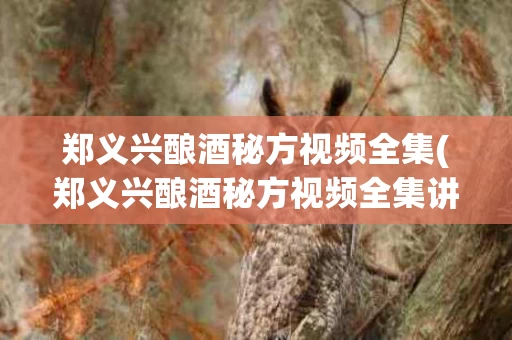 郑义兴酿酒秘方视频全集(郑义兴酿酒秘方视频全集讲解)