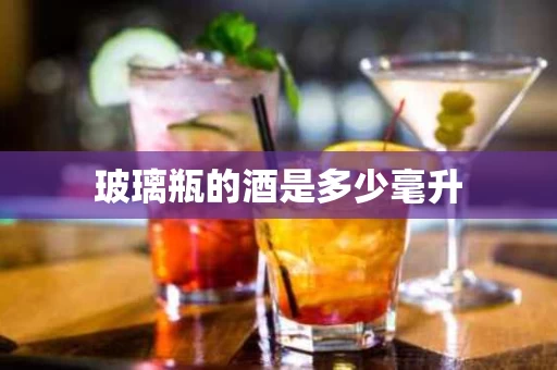 玻璃瓶的酒是多少毫升