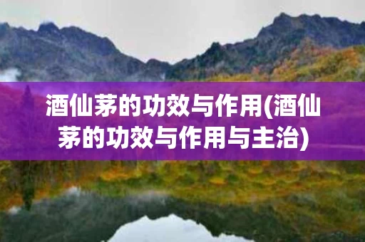 酒仙茅的功效与作用(酒仙茅的功效与作用与主治) 酒仙茅的功效与作用(酒仙茅的功效与作用与主治)