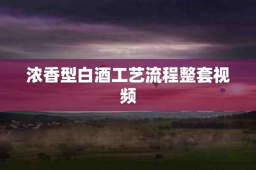 浓香型白酒工艺流程整套视频