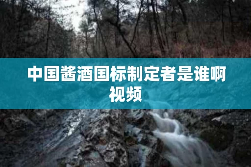 中国酱酒国标制定者是谁啊视频