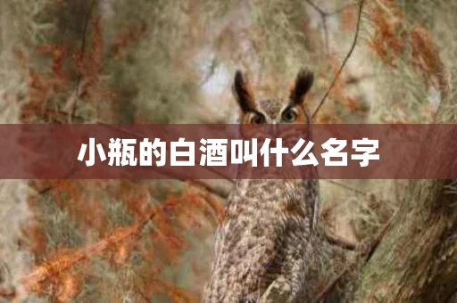 小瓶的白酒叫什么名字