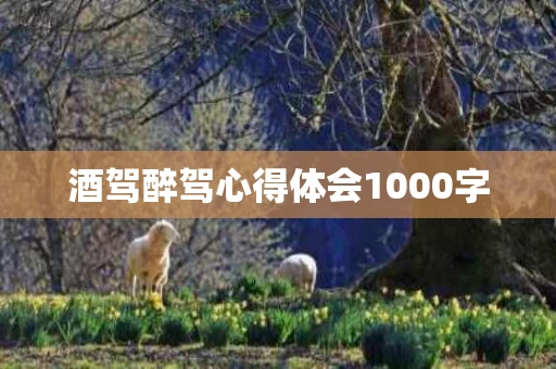 酒驾醉驾心得体会1000字