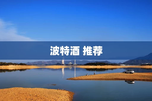 波特酒 推荐