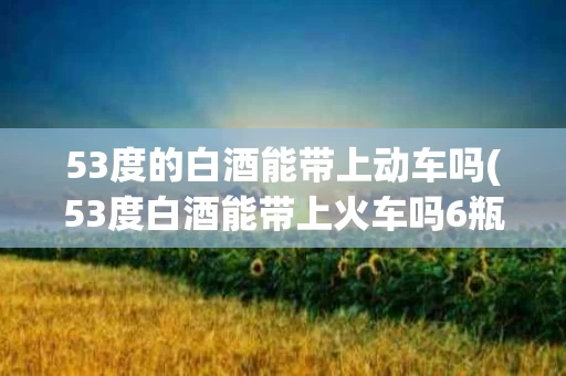 53度的白酒能带上动车吗(53度白酒能带上火车吗6瓶)