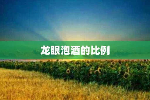 龙眼泡酒的比例