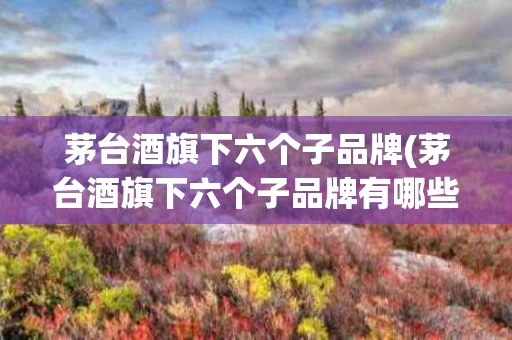 茅台酒旗下六个子品牌(茅台酒旗下六个子品牌有哪些)