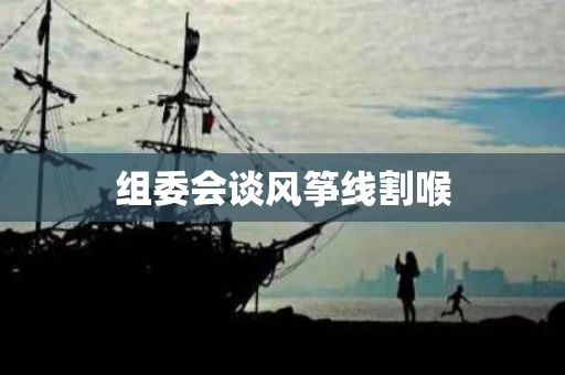 组委会谈风筝线割喉 组委会谈风筝线割喉