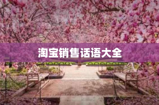 淘宝销售话语大全