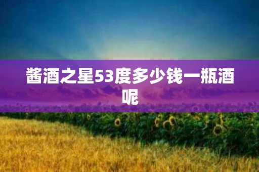 酱酒之星53度多少钱一瓶酒呢