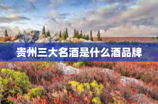 贵州三大名酒是什么酒品牌
