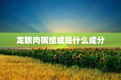 龙眼肉粥组成是什么成分