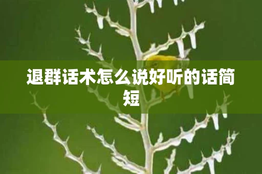 退群话术怎么说好听的话简短