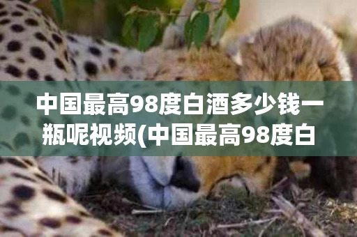 中国最高98度白酒多少钱一瓶呢视频(中国最高98度白酒多少钱一瓶呢视频播放)