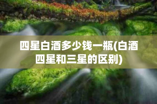 四星白酒多少钱一瓶(白酒四星和三星的区别)
