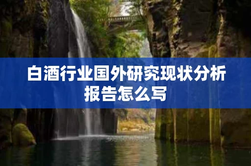 白酒行业国外研究现状分析报告怎么写