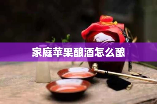 家庭苹果酿酒怎么酿