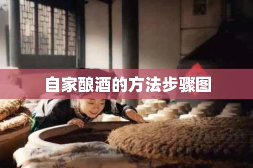自家酿酒的方法步骤图