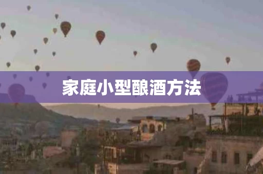 家庭小型酿酒方法