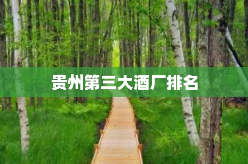 贵州第三大酒厂排名