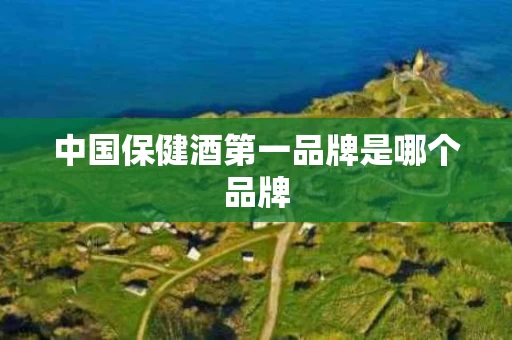 中国保健酒第一品牌是哪个品牌