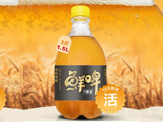 嗨豚精酿原浆怎么样？嗨豚精酿原浆价格