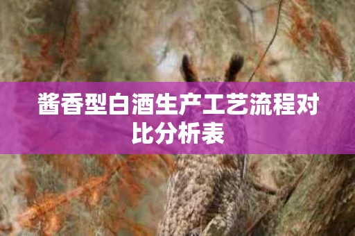 酱香型白酒生产工艺流程对比分析表