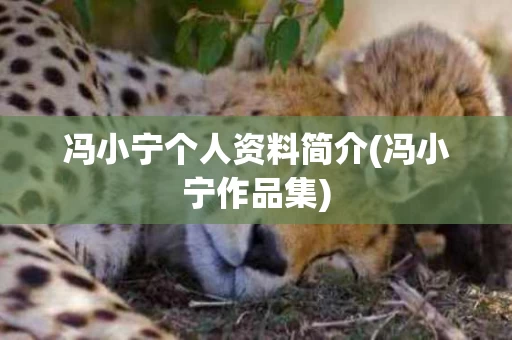 冯小宁个人资料简介(冯小宁作品集)
