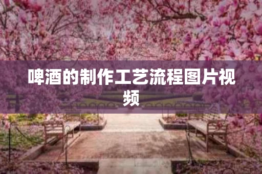 啤酒的制作工艺流程图片视频